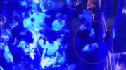 Beyoğlu’nda eğlence mekanında telefon hırsızlığı kameraya yansıdı