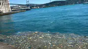 Ortaköy sahilinde çöp manzarası İstanbulluları isyan ettirdi
