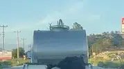 Bolu'da kurbanlığı kamyonetten sarkıtarak taşıyan sürücüye ağır ceza