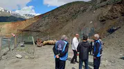 Hakkari’de kurbanlık telaşı başladı