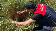 Kırklareli'nde çiftçilere erken ilaçlama uyarısı geldi