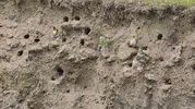 Bitlis yamaçlarında doğanın gökkuşağı mevsimi başladı
