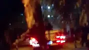 İzmir'de kurbanlık dana dereye uçtu