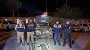 Van'da kaçak inci kefali operasyonu 630 kilogram balık ele geçirildi