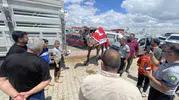 Konya kurban pazarında 330 bin liralık deve satışı