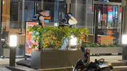 Şişli Gülbahar Mahallesi'nde gece vakti silahlı saldırı