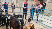 Bozdoğan’da kurban pazarları bayram öncesi mercek altına alındı