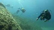 Saros Körfezi şu altı meraklılarını bekliyor