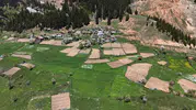 Artvin’in zirvesinde geleneksel tarım dayanışması