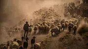 2026 Hevsel Kupası kazananları belli oldu