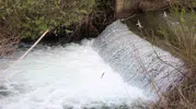 Hazar Gölü’nde doğanın en zorlu yolculuğu başladı