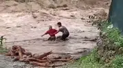 Hatay'da sel sularına aldırmadan kütük topladılar