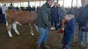 Iğdır pazarında kurban arayışı Bütçeler küçükbaşa döndü