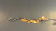 Eskişehirde sokak ortasında altın gaspı kamerada