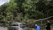 Malkara’da park halindeki araca devrilen ağaç maddi hasara yol açtı