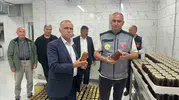 Artvin balında iklim krizi alarmı