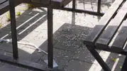 Melen Su Park piknikçilerin bıraktığı çöplerle doldu