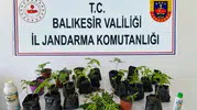Balıkesir genelinde düzenlenen uyuşturucu operasyonlarında 64 kişi gözaltına alındı