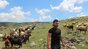 Uzman çavuşluğu bıraktı, Aksaray yaylalarında sürü patronu oldu