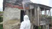 Ordu fındığı korumak için 335 bin evi ilaçladı