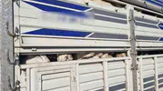 TEM Otoyolu’nda kaçak kurbanlık baskını