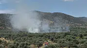 Bayındır’da zeytinlikleri alevler sardı