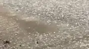 Tekirdağ'da sağanak ve dolu hayatı felç etti