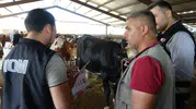 Adıyaman kurban pazarında dolandırıcılık alarmı