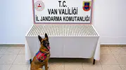 İran sınırında kuryelik yapan 8 kişinin midesinden uyuşturucu çıktı