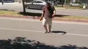 Antalya sokaklarında karga dehşeti