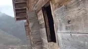 Rize’de yaylacıdan ayıya sitem Pencereyi kırma kapıdan gir