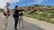 Sason’da jandarmadan besicilere bayram öncesi hırsızlık uyarısı
