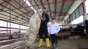 Elazığ’da kurbanlık pazarına 140 kilogramlık dev keçi damga vurdu