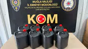 Muğla genelindeki operasyonda kaçak alkol üretimine darbe vuruldu