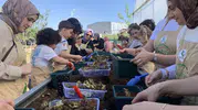 Çayırova sakinleri kendi çileklerini yetiştirmek için kolları sıvadı
