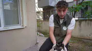 Bilecik sokaklarında mazgala düşen yavrulara belediye müdahalesi