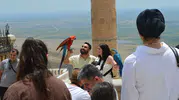 Mardin bayram tatilinde turist yoğunluğunu kaldıramadı