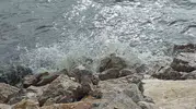 Van Gölü sert rüzgarla kabardı