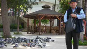 Bayramda herkes tatile gitti o güvercinlerin başına koştu