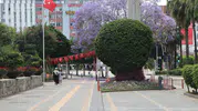 Adana bayram tatiliyle birlikte ıssızlığa büründü