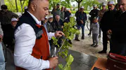 Termeli üreticiler artık kendi ağaçlarını profesyonelce aşılayacak