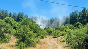 Muğla Menteşe ormanlarında çıkan yangın büyümeden söndürüldü