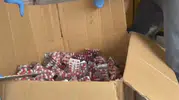 Kocaeli polisinde büyük uyuşturucu operasyonu