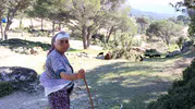 Beşparmak Dağları artık çobanlarını bekliyor