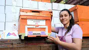Mersinli arıcılar için Altın Kovan dönemi
