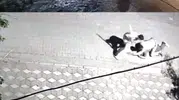 Manisa’da sokak ortasında bıçaklı hesaplaşma