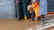 Aydın Köşk’te fırtına dehşeti 11 hayvanı sular altında bıraktı