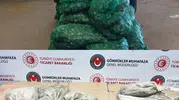 Kapıkule'de kaçak midye operasyonu
