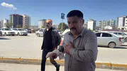Sivaslı kasaplar iş başında ancak acemi kasaplar hastanelik oldu