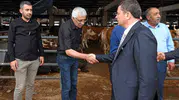 Osmangazi’de kurban pazarları bayrama hazır hale getirildi